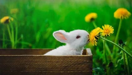 B sports_ EPL重要时刻：托特纳姆热刺力争前四，托特纳姆热刺首发